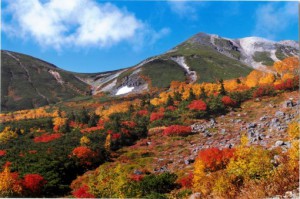 09　天空のパラダイスのりくら